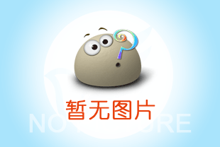 建筑預(yù)制構(gòu)件吊裝用鋼絲繩電動(dòng)葫蘆